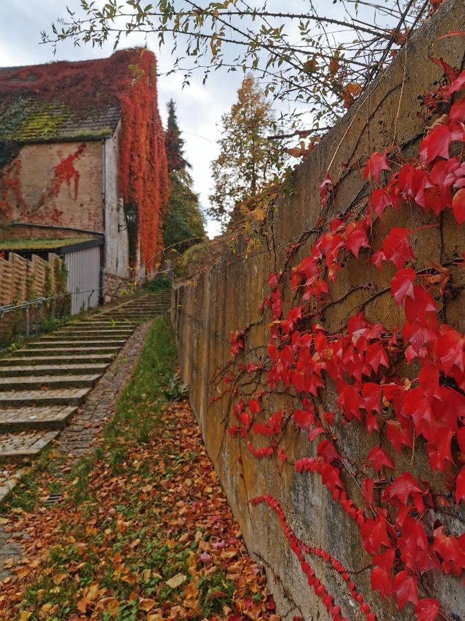 Gaestezimmer Reitinger Siegenburg Esterno foto